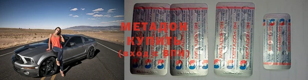 PSILOCYBIN Алзамай